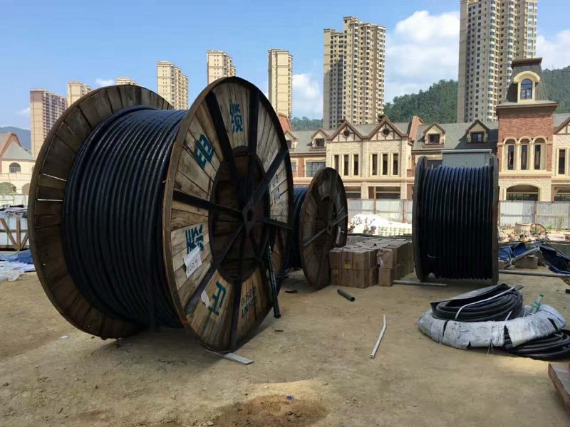 呼和浩特电料批发市场的最新动态与趋势