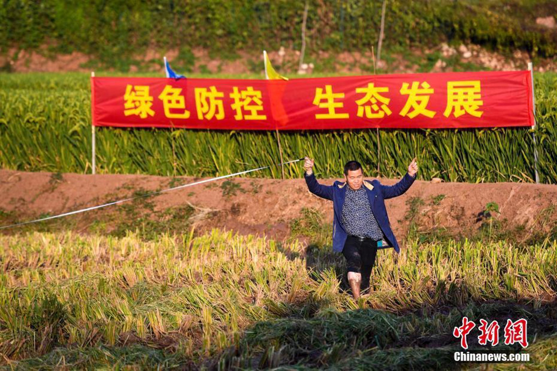 顺华峰线缆